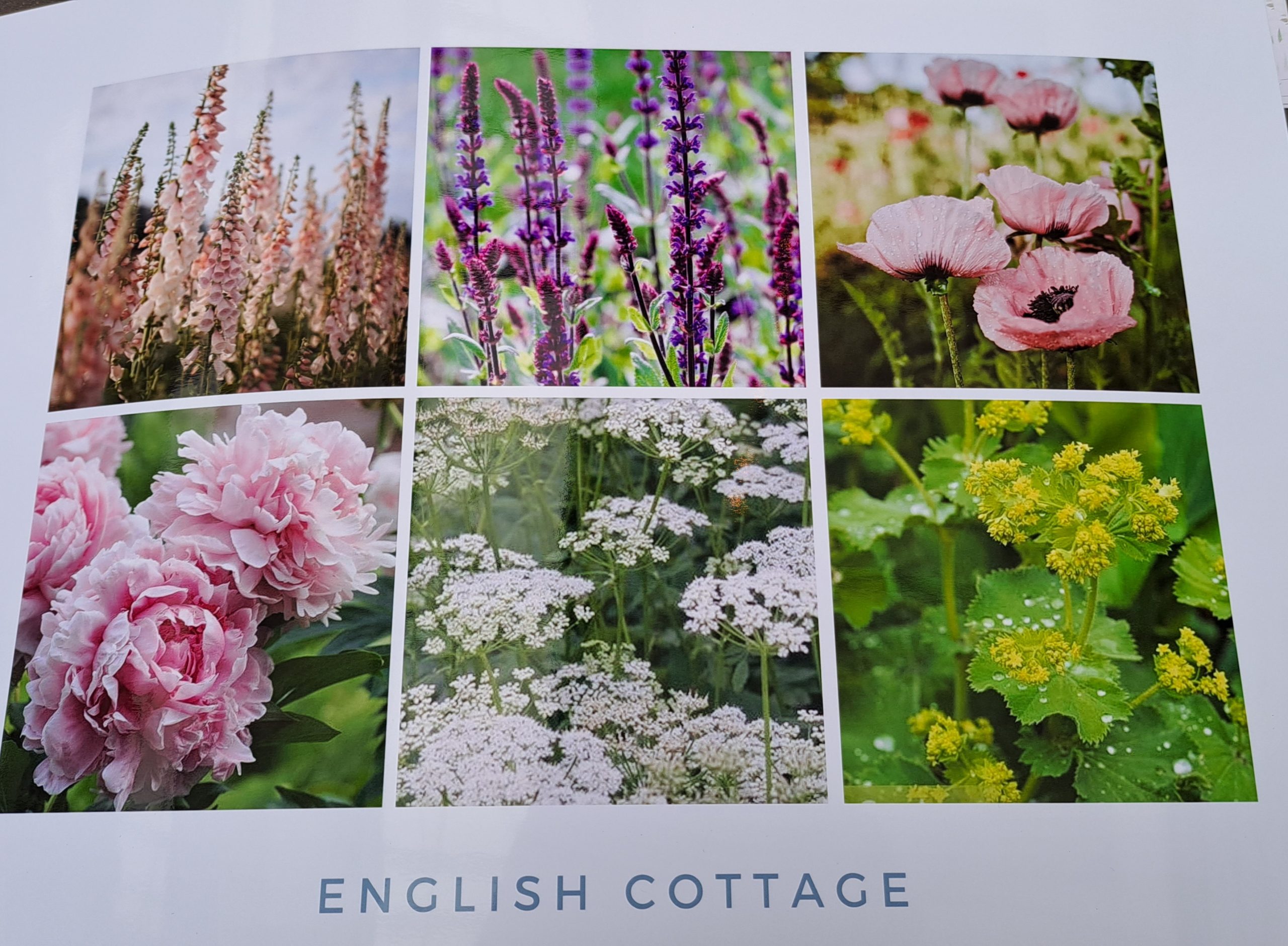 English Cottage,